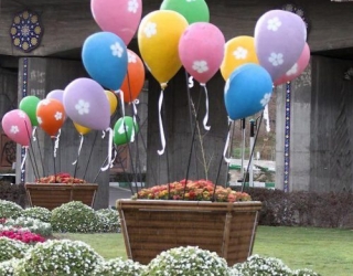 فلاورباکس های لوکس شهری و منازل