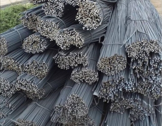 IMG_20231111_144440_310